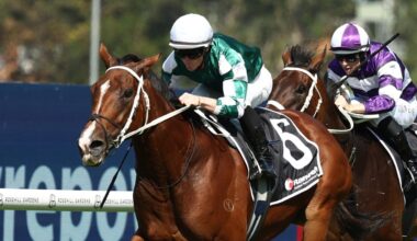 Via Sistina headlines star-studded Randwick trials as Horse of the Year finalists revealed