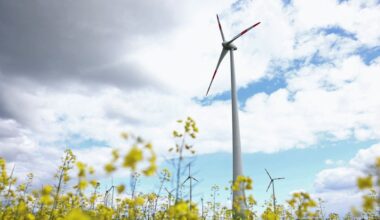 Germany aims to reduce reliance on China for wind power components