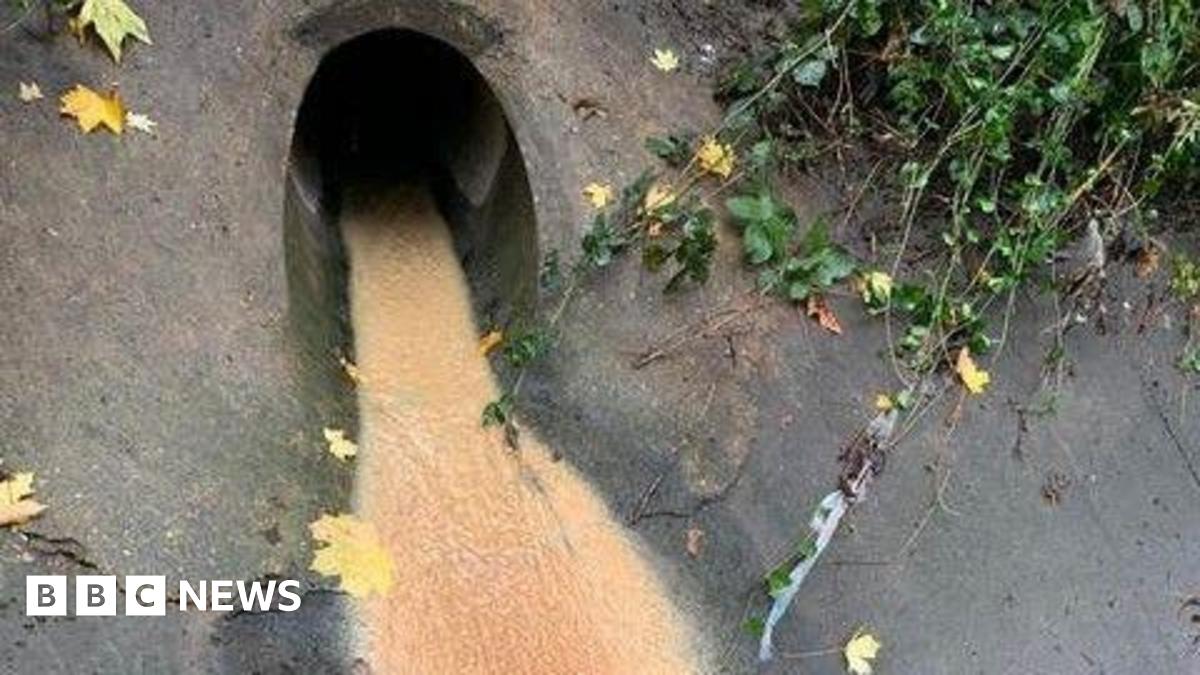 A close-up of a pipe opening, with brown coloured waste flowing out of it. to the sides of the pipe are leaves and plants.