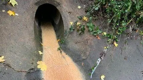 Ben Morris A close-up of a pipe opening, with brown coloured waste flowing out of it. to the sides of the pipe are leaves and plants. 