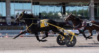 Louprint stays perfect, Prince Hal Hanover dominates at The Meadows – U.S. Trotting News