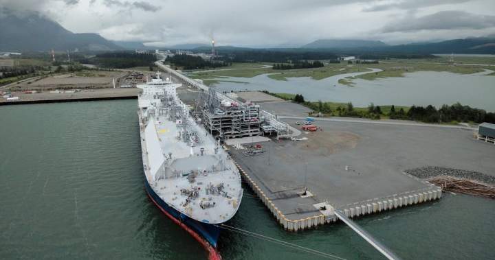 Canada wants to sell LNG to Germany. Critics say it’s a race against time - National