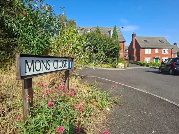 A close up of the road sign at the top of the road with some uninvolved homes in the background