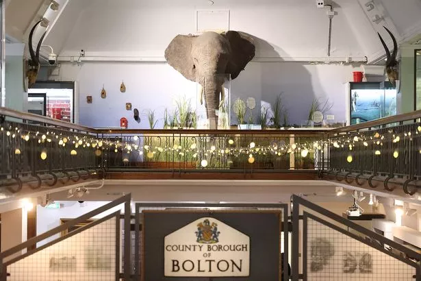 Bolton Museum