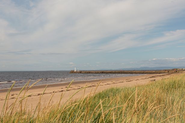 A picture of Ayr beach