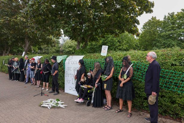 'Tree brides' hold a funeral at the Baltic Wharf Caravan Park site on August 11, 2025 - the day the caravan park closed to make way for a housing development. In 2021, 70 women 'married' individual trees in the park as part of a campaign against the redevelopment