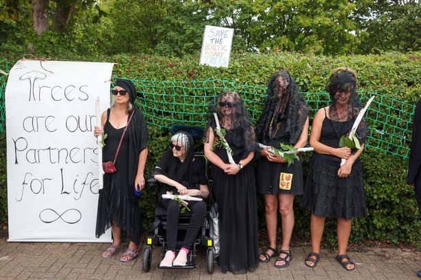 'Tree brides' hold a funeral at the Baltic Wharf Caravan Park site on August 11, 2025 - the day the caravan park closed to make way for a housing development. In 2021, 70 women 'married' individual trees in the park as part of a campaign against the redevelopment