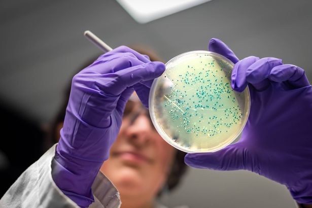Listeria symptoms may only last a few days in most people