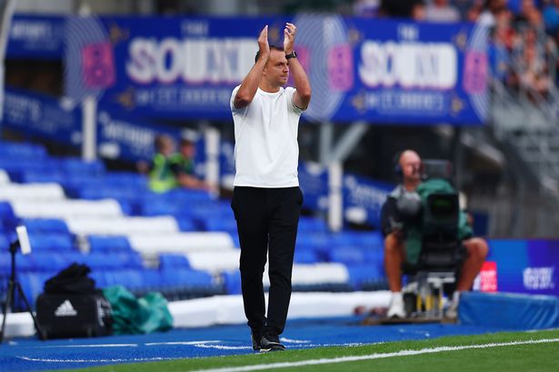Birmingham City manager Chris Davies