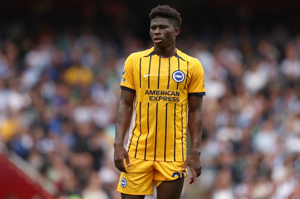 Carlos Baleba during a Brighton & Hove Albion game