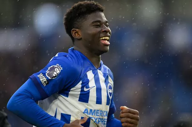 Carlos Baleba during a Brighton & Hove Albion game