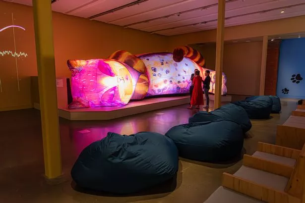 The Cat That Slept for a Thousand Years is at Manchester Museum this summer