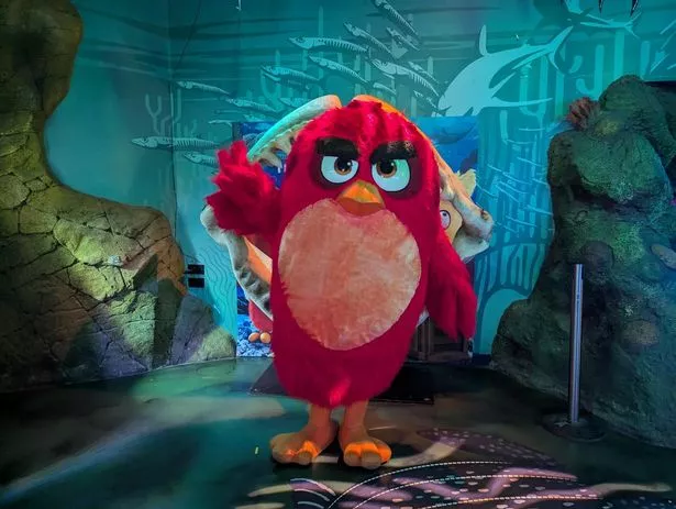 An Angry Birds event is on at Sea Life
