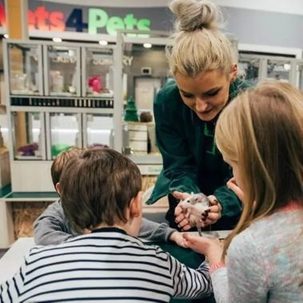 Free My Pet Pals workshops are back at Pets at Home