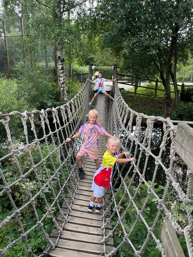 The wobbly bridge along the Amur Tiger Trail