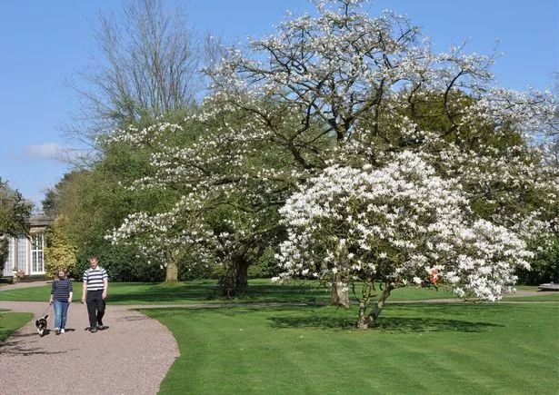 Dogs no longer have to be on lead at Tatton Park