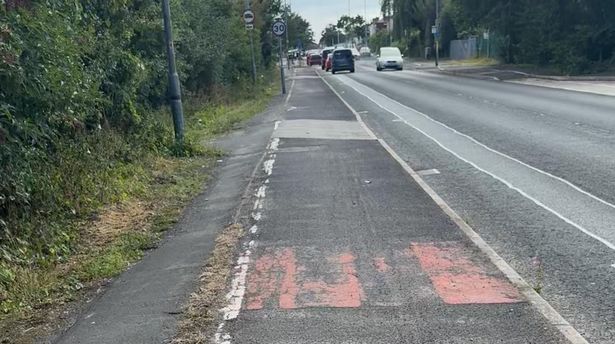 Faded cycle lane, gritty and in state of disrepair, as pedestrian path is covered by overgrown foliage on Benthams Way, Southport