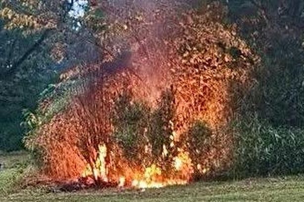 Fire in Derby Park, Bootle