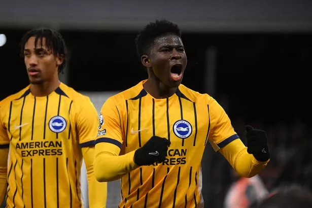 LONDON, ENGLAND - DECEMBER 05: Carlos Baleba of Brighton & Hove Albion celebrates scoring his team's first goal  during the Premier League match between Fulham FC and Brighton & Hove Albion FC at Craven Cottage on December 05, 2024 in London, England. (Photo by Mike Hewitt/Getty Images)