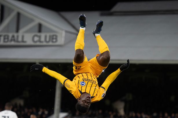 Carlos Baleba of Brighton & Hove Albion celebrates after scoring the equalising goal during the Premier League match between Fulham and Brighton 