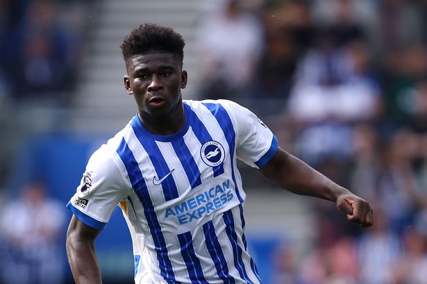 Manchester United target Carlos Baleba in action for Brighton.