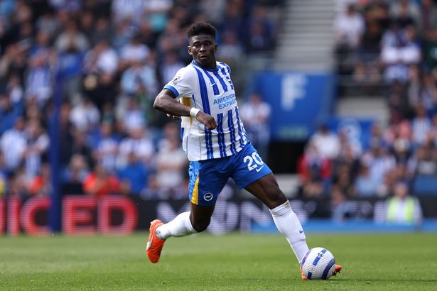 Carlos Baleba in action for Brighton & Hove Albion.