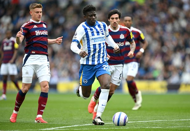 Carlos Baleba in action for Brighton & Hove Albion against Newcastle United.