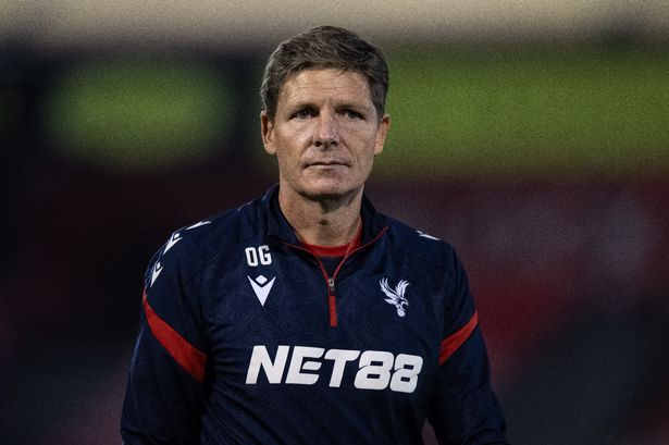 Crystal Palace manager Oliver Glasner