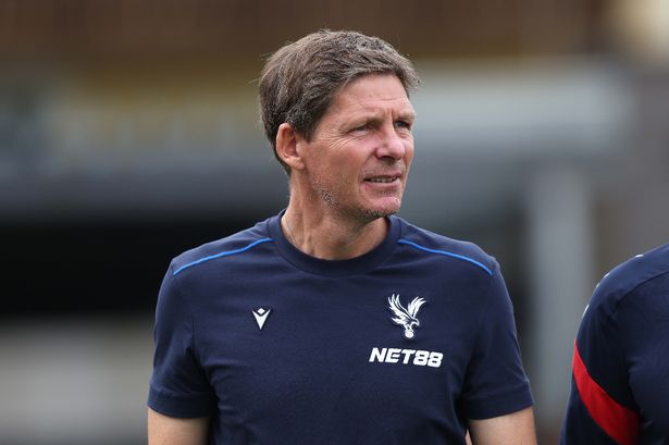 Oliver Glasner Manager of Crystal Palace during the pre-season friendly match between 1. FSV Mainz 05 and Crystal Palace at Hans-Ludwig-Stadion 