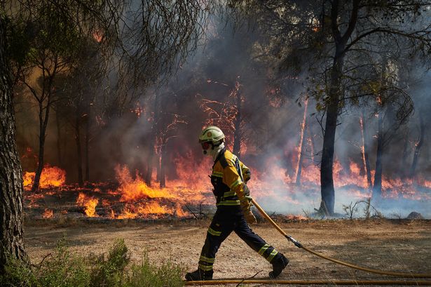 Firefighters continue the extinguishing works to extinguish the fire, on 10 August, 2025 in Carcastillo, Navarra, Spain