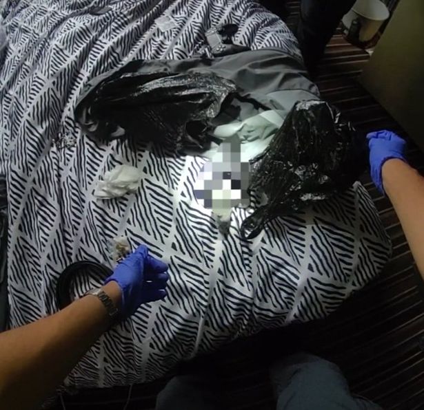 Suspect packages on top of a duvet