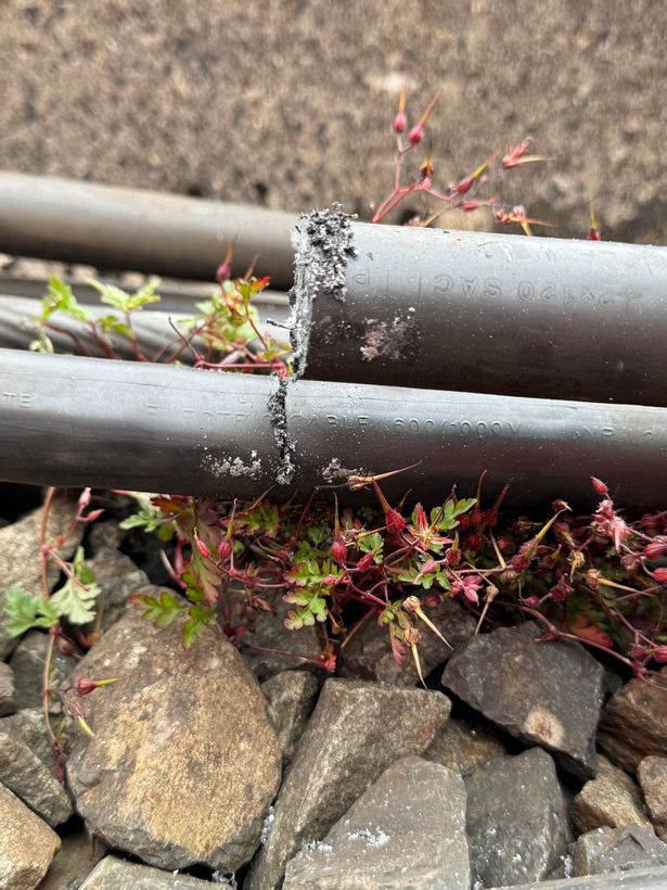 Damaged rail cables on the West Coast Mainline near Wigan which Network Rail say were deliberately damaged