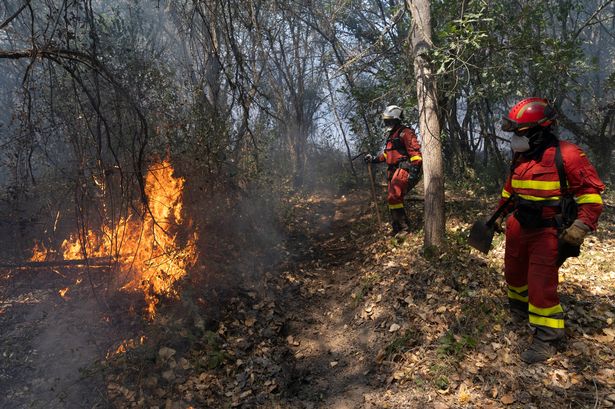  a wildfire on August 19, 2025 in Castrelo do Val, in Ourense province, Spain
