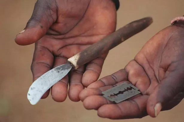 A photo of the tools 