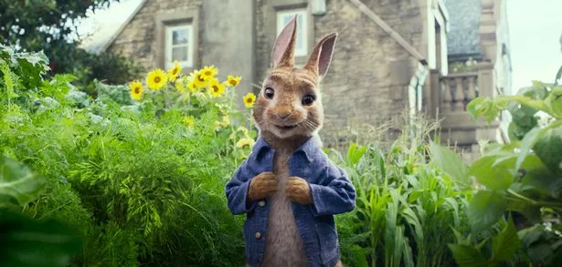 Peter Rabbit will be on at the Small Cinema in Oldham