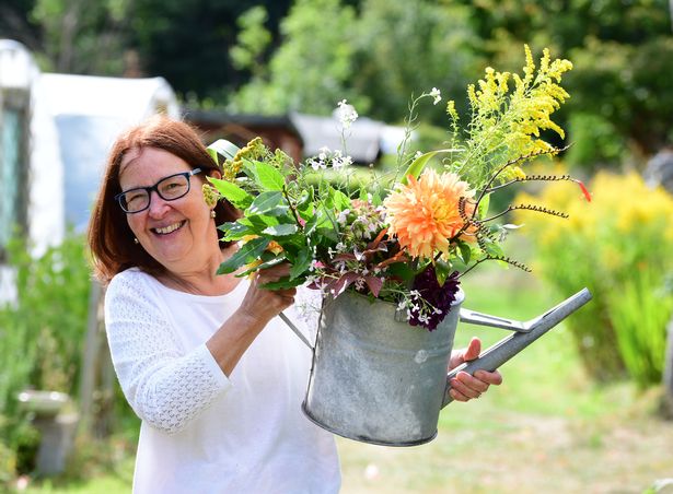 Helen O'Gorman from Greenbank Lane Allotment Society has written about it's history