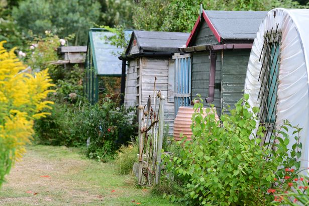 Greenbank Lane Allotment Society