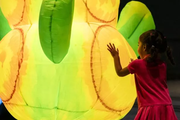 The Hothouse Laboratory will run from Thursday, August 7 – Monday, September 1