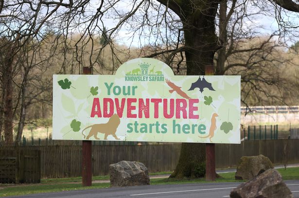Knowsley Safari