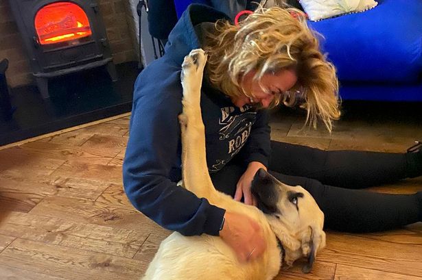 Natalie J Robb with her new rescue dog Buddy