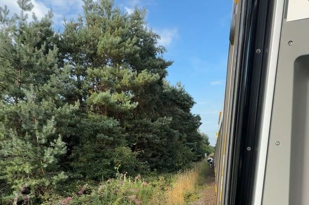 The passenger "self-evacuated" from the train
