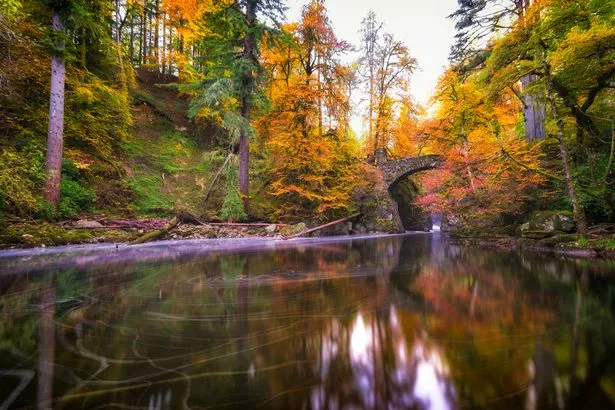 A picture of Perthshire’s woodlands