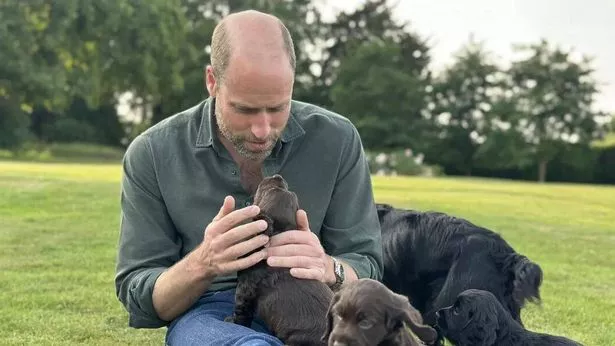 Prince William is seen with his new puppies in a birthday snap