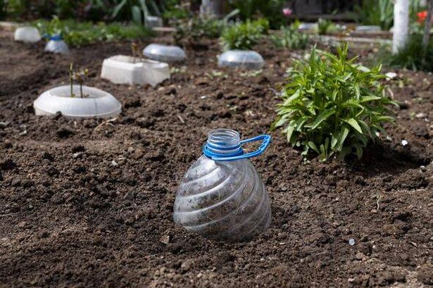 Recycling concept. Reuse of plastic bottle