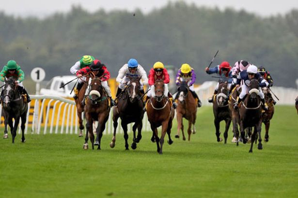 Ripon races