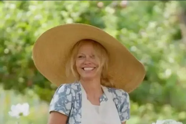 Pam Anderson's cooking show came out on Amazon a week before Meghan's did on Netflix 