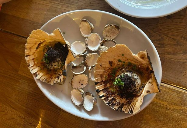 Scallops with Marmite butter and black pudding