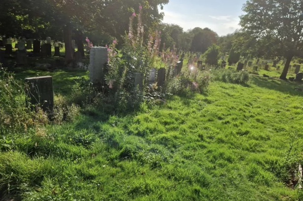 The grass at graves needs cut.