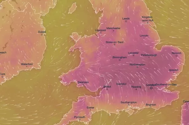 Temperature map for August 12