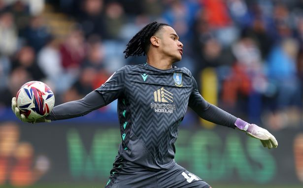 Pierce Charles in action for Sheffield Wednesday